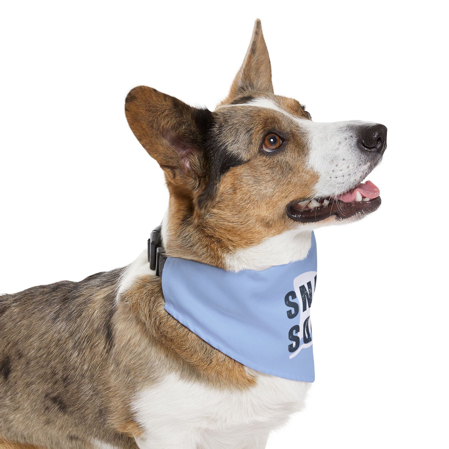 Snark Squad Pet Bandana Collar
